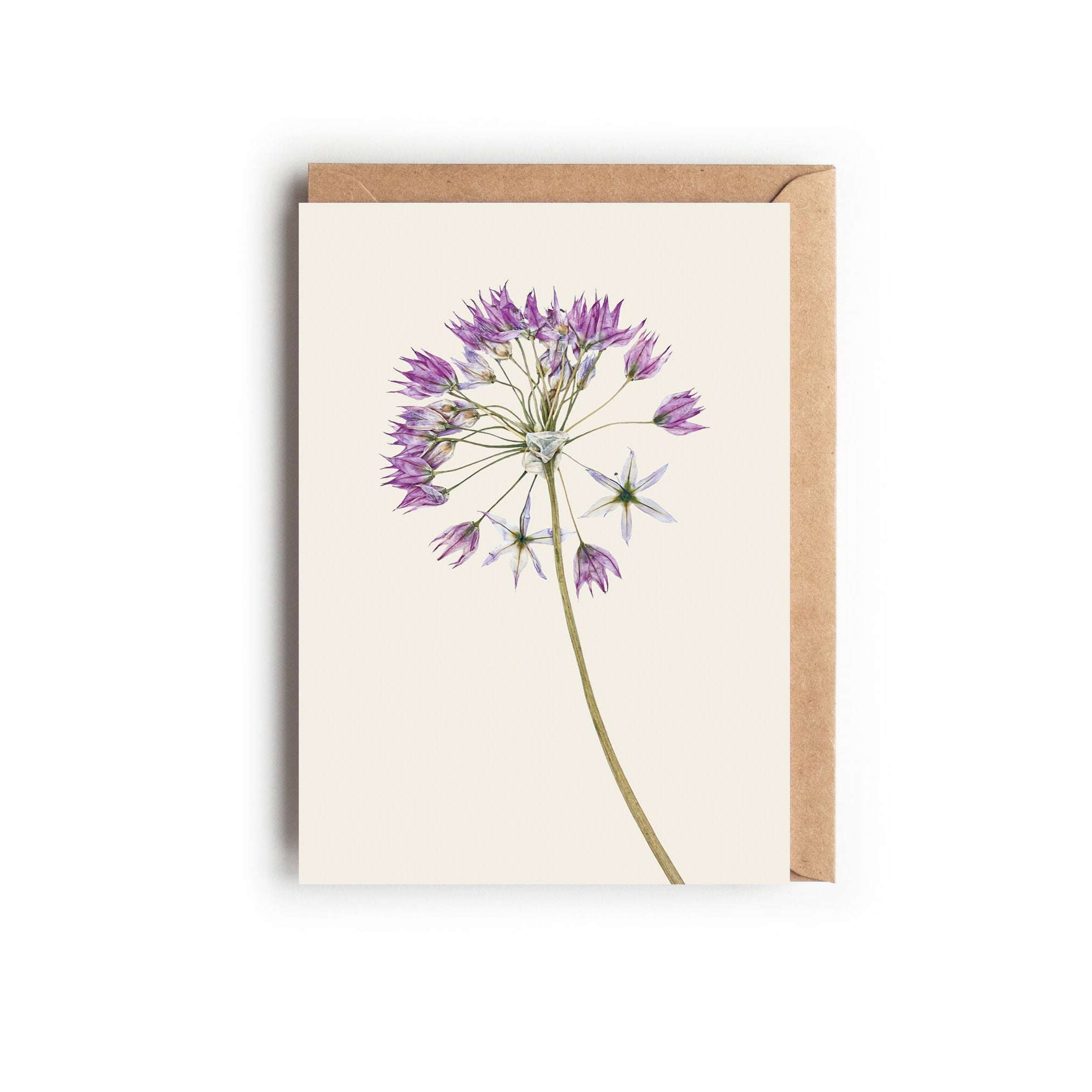 A botanical greetings card featuring a pressed Allium stem with a brown kraft envelope. Designed and made in the UK.