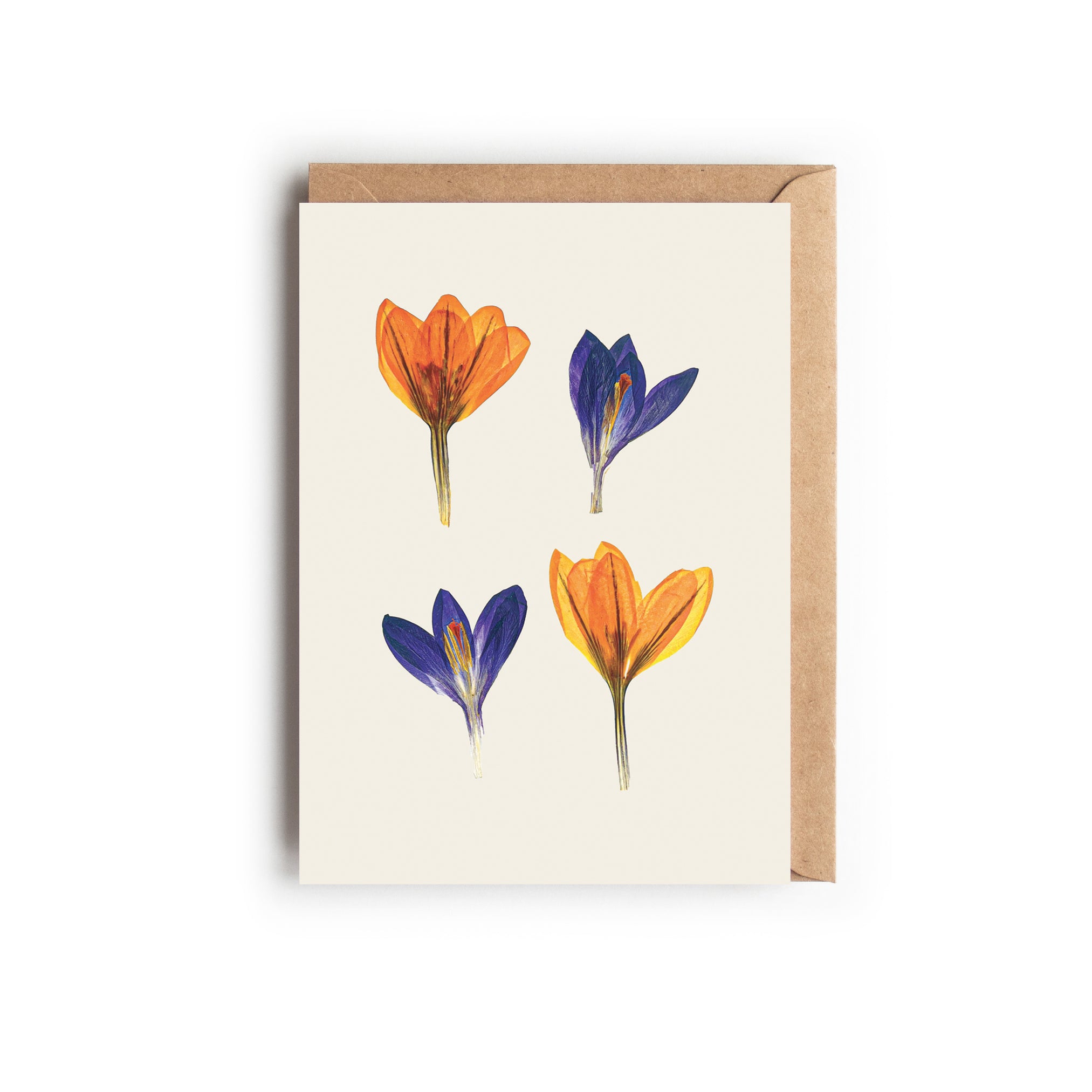 A botanical greetings card featuring pressed crocuses with a brown kraft envelope. Designed and made in the UK.
