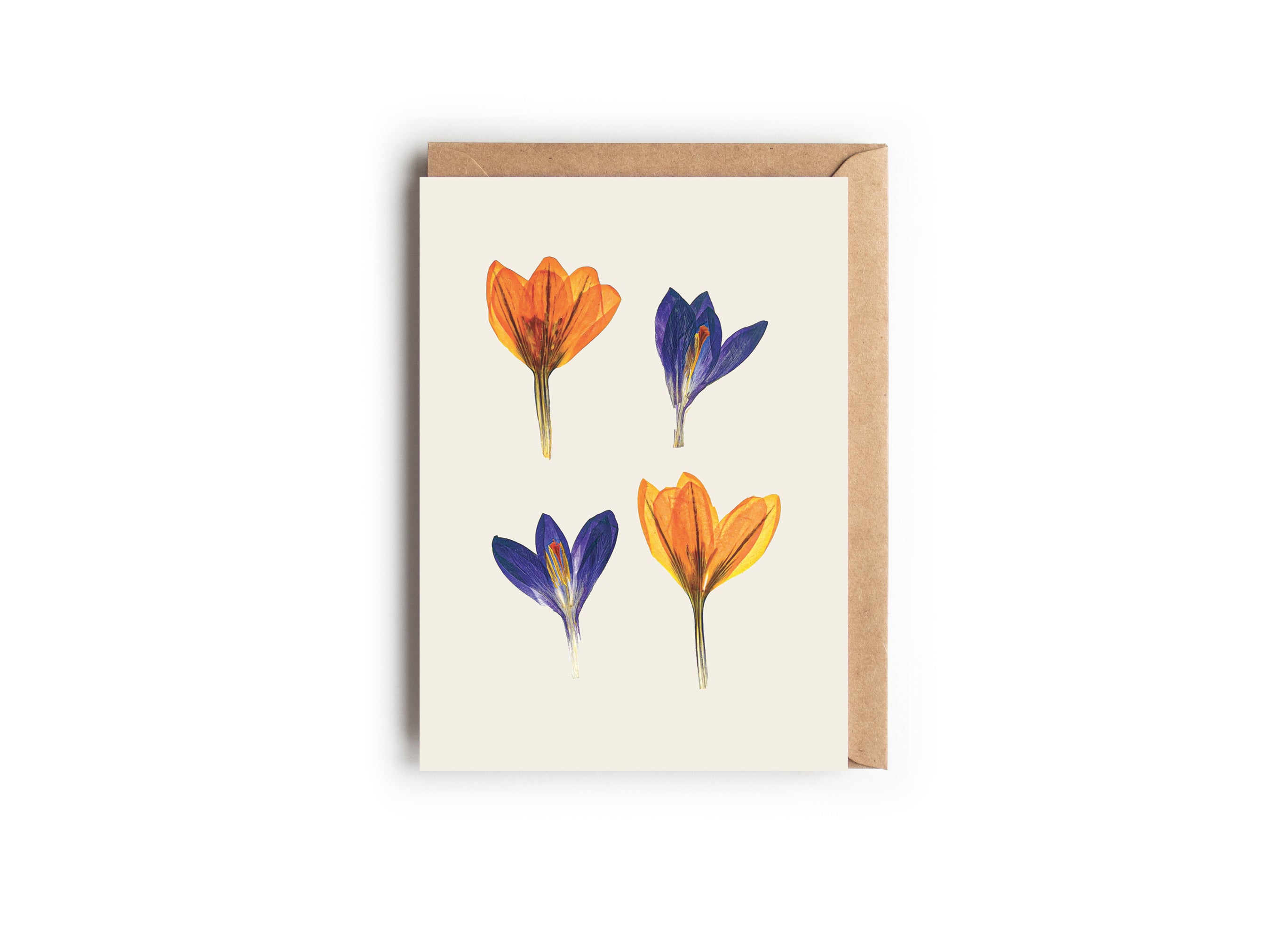 A botanical greetings card featuring pressed crocuses with a brown kraft envelope. Designed and made in the UK.