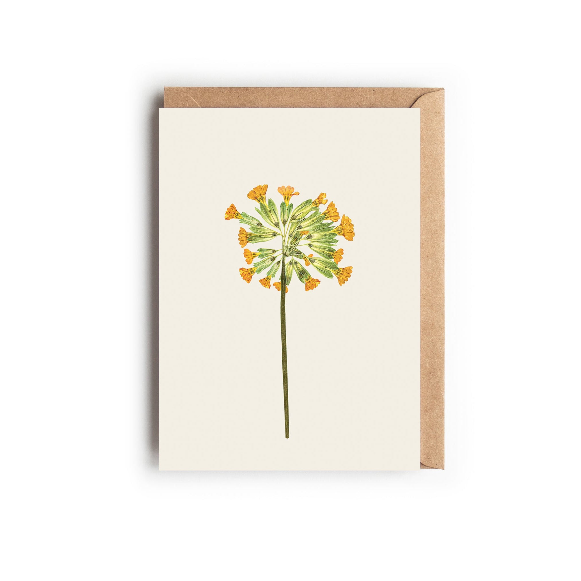 A botanical greetings card featuring a pressed cowslip stem with a brown kraft envelope. Designed and made in the UK.