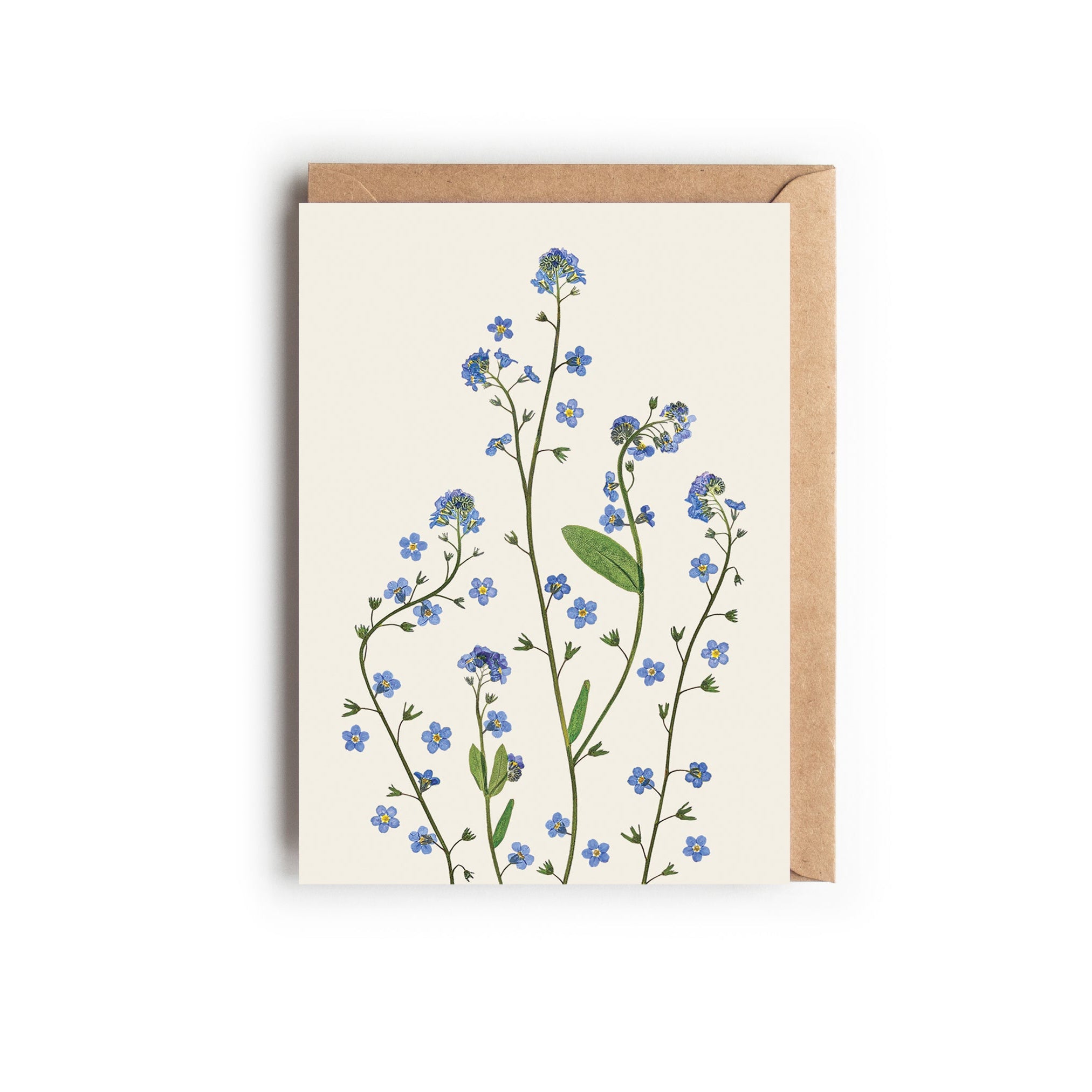 A botanical greetings card featuring pressed forget-me-not stems with a brown kraft envelope. Designed and made in the UK.
