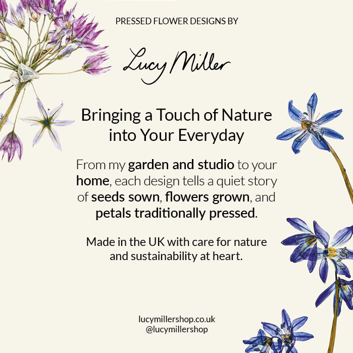 A bio from Lucy Miller: Pressed flower designs by Lucy Miller. Bringing a Touch of Nature into Your Everyday. From my garden and studio to your home, each design tells a quiet story of seeds sown, flowers grown, and petals traditionally pressed. Made in the UK with care for nature and sustainability at heart.