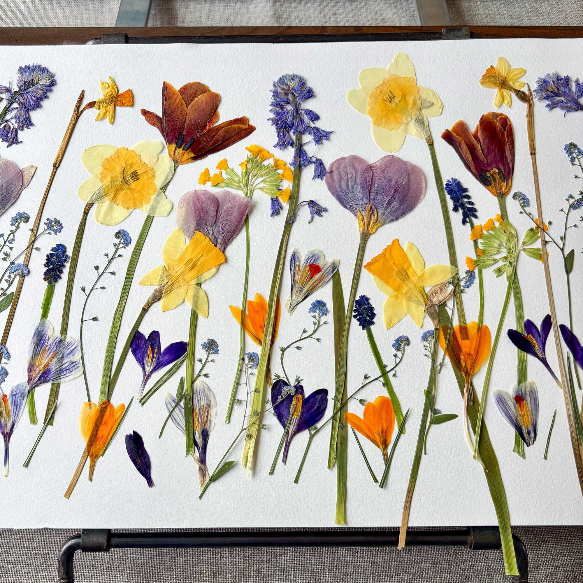 Pressed flowers used in Lucy's Spring Collection, displayed in an old fashioned repurposed trouser press.