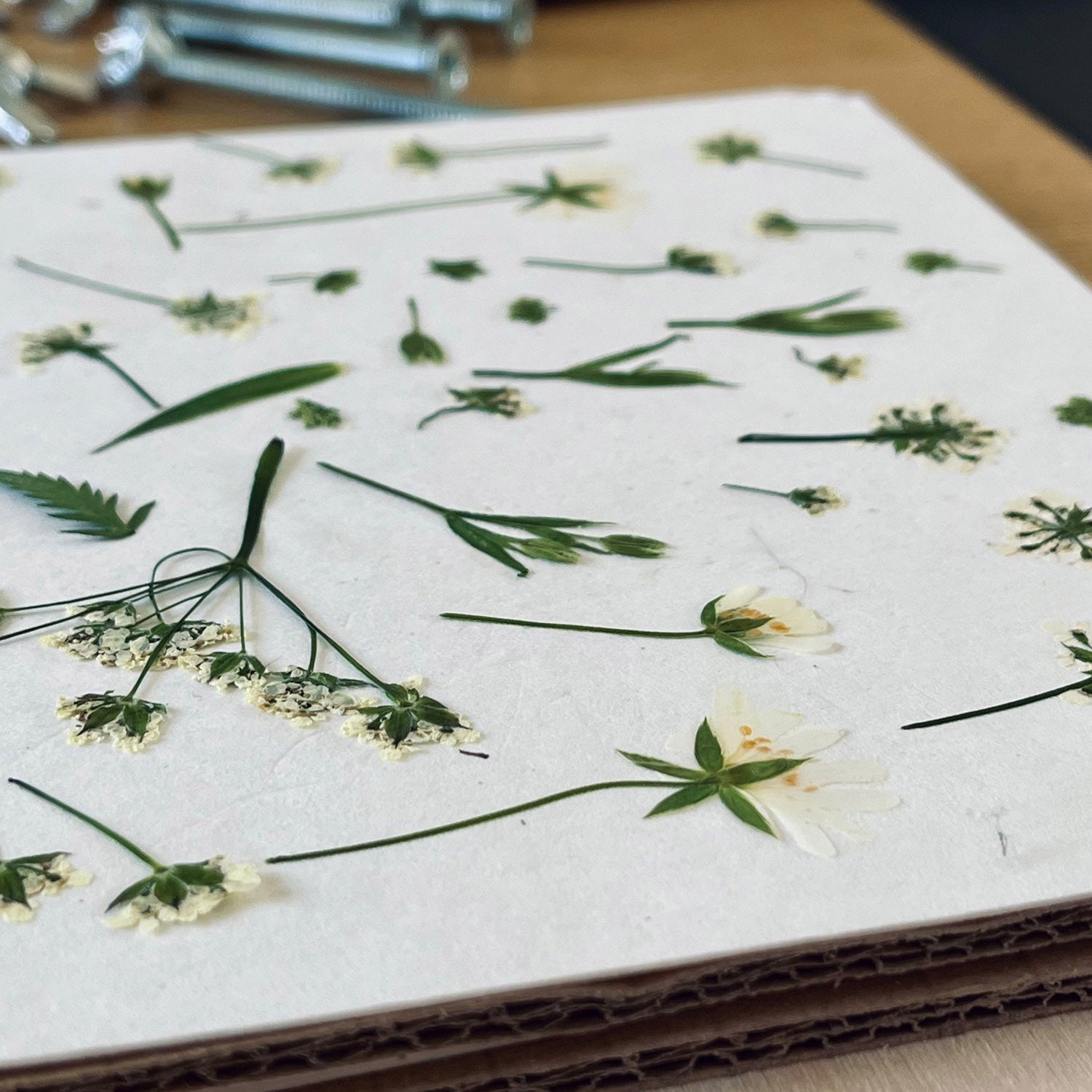 Flowers traditionally pressed by Lucy Miller, used in her unique floral designs.