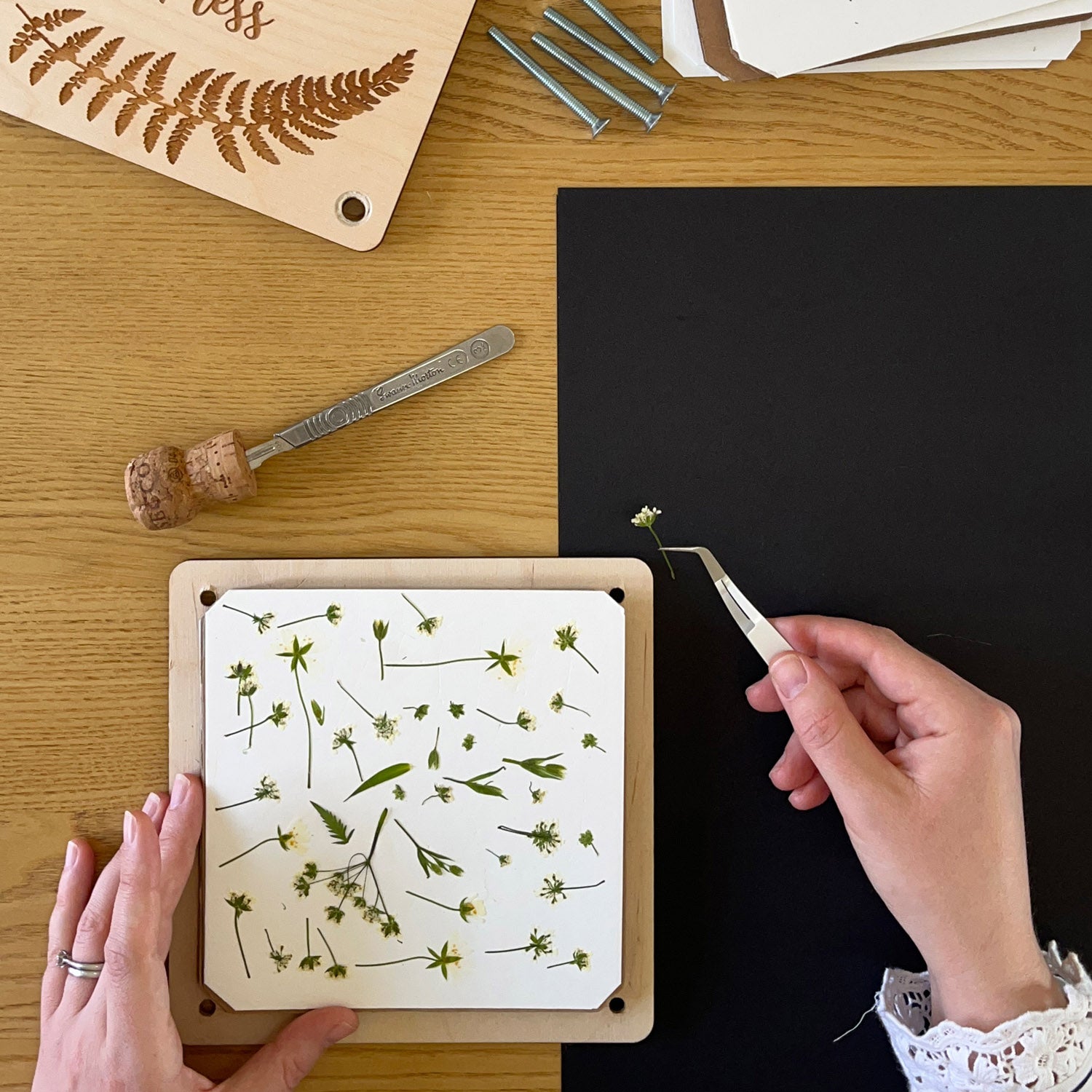 Flowers traditionally pressed by Lucy Miller, used in her unique floral designs.