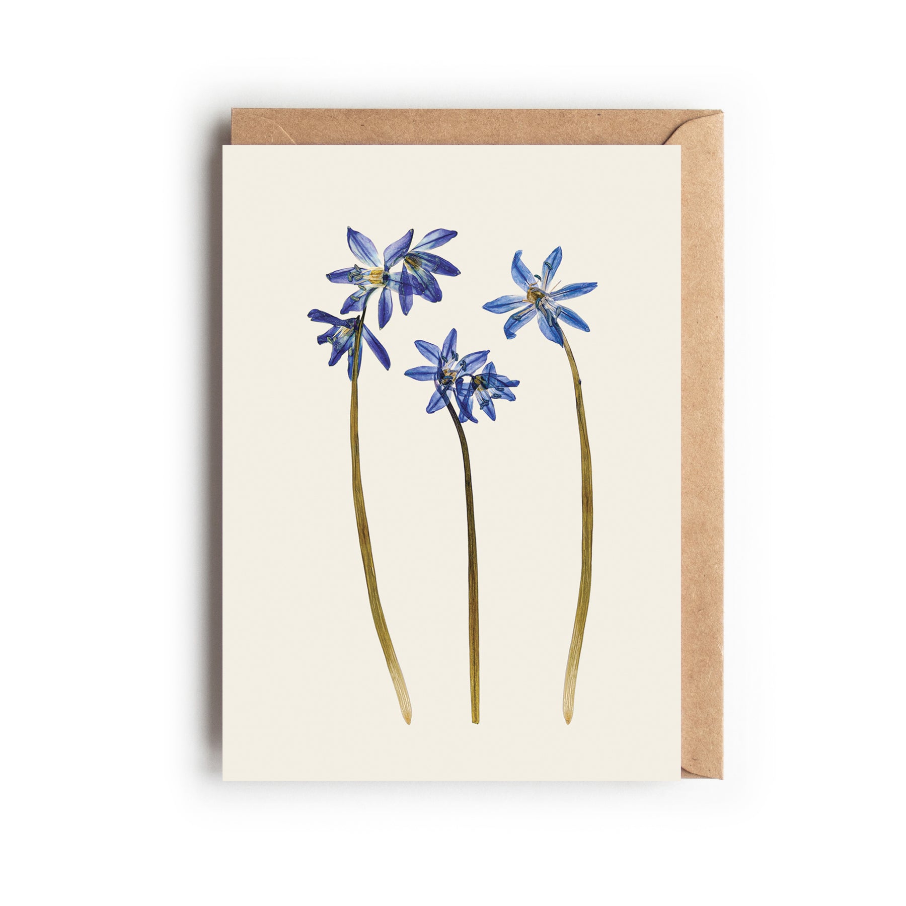 Greetings card with a pressed blue Scilla flower design on an off-white background. Designed and made in the UK.