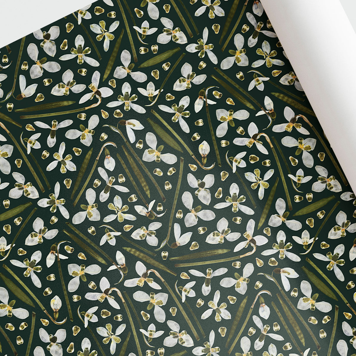 A close-up of a botanical patterned sheet or wrapping paper with a dark green background, with pressed white snowdrop flowers, shown partially rolled at the top right against a white background.