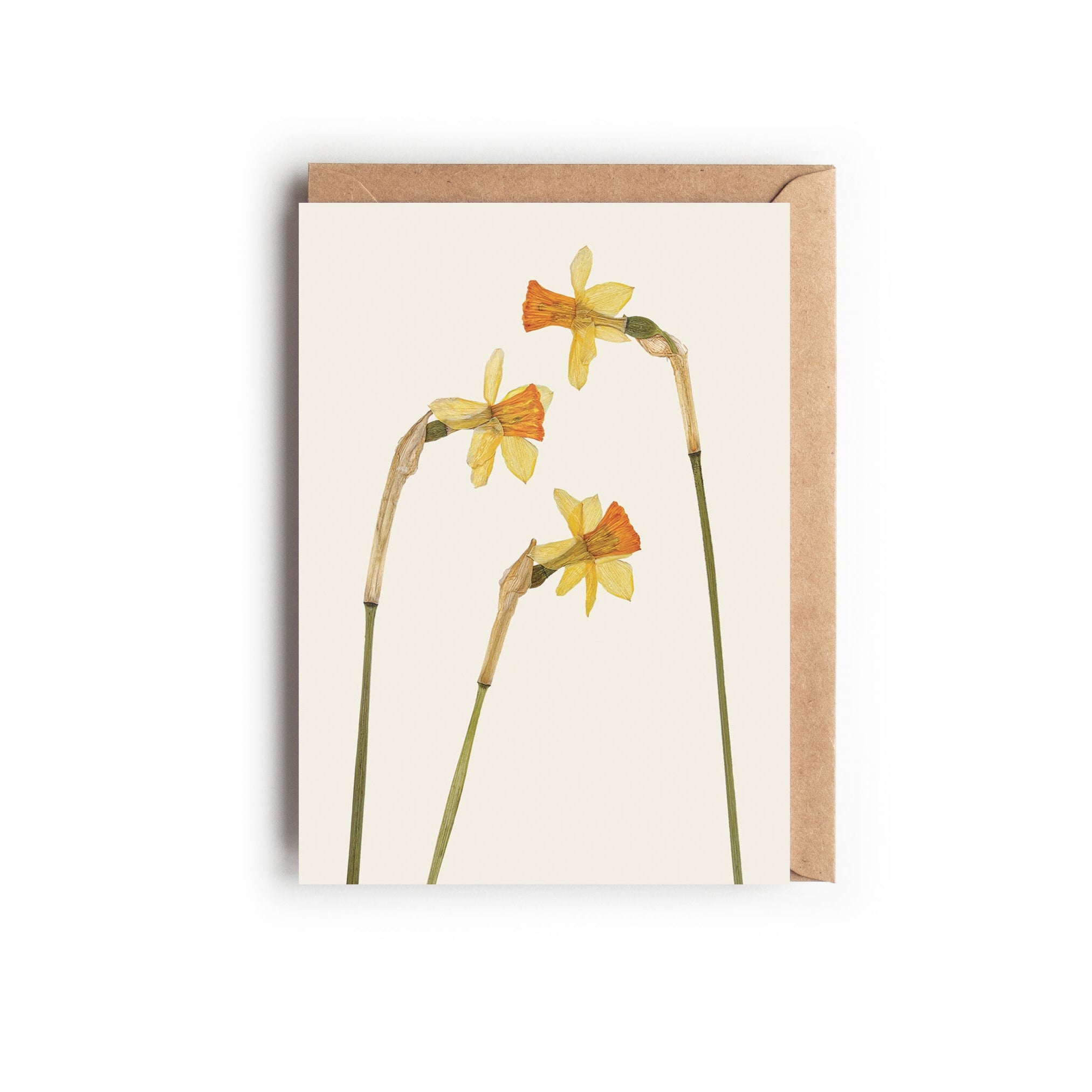 Pressed Narcissus ‘Tête-à-Tête’ floral greetings card. Blank inside, designed and printed in the UK.