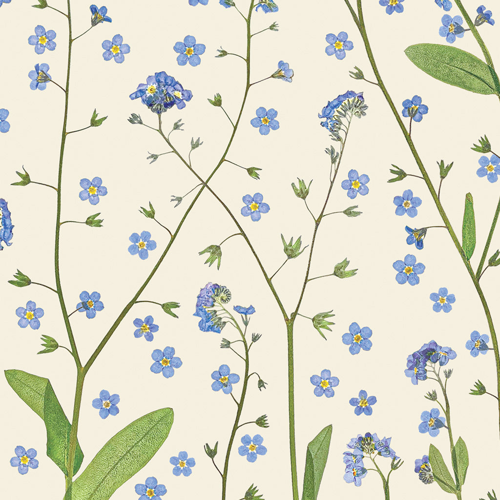 Forget-Me-Nots