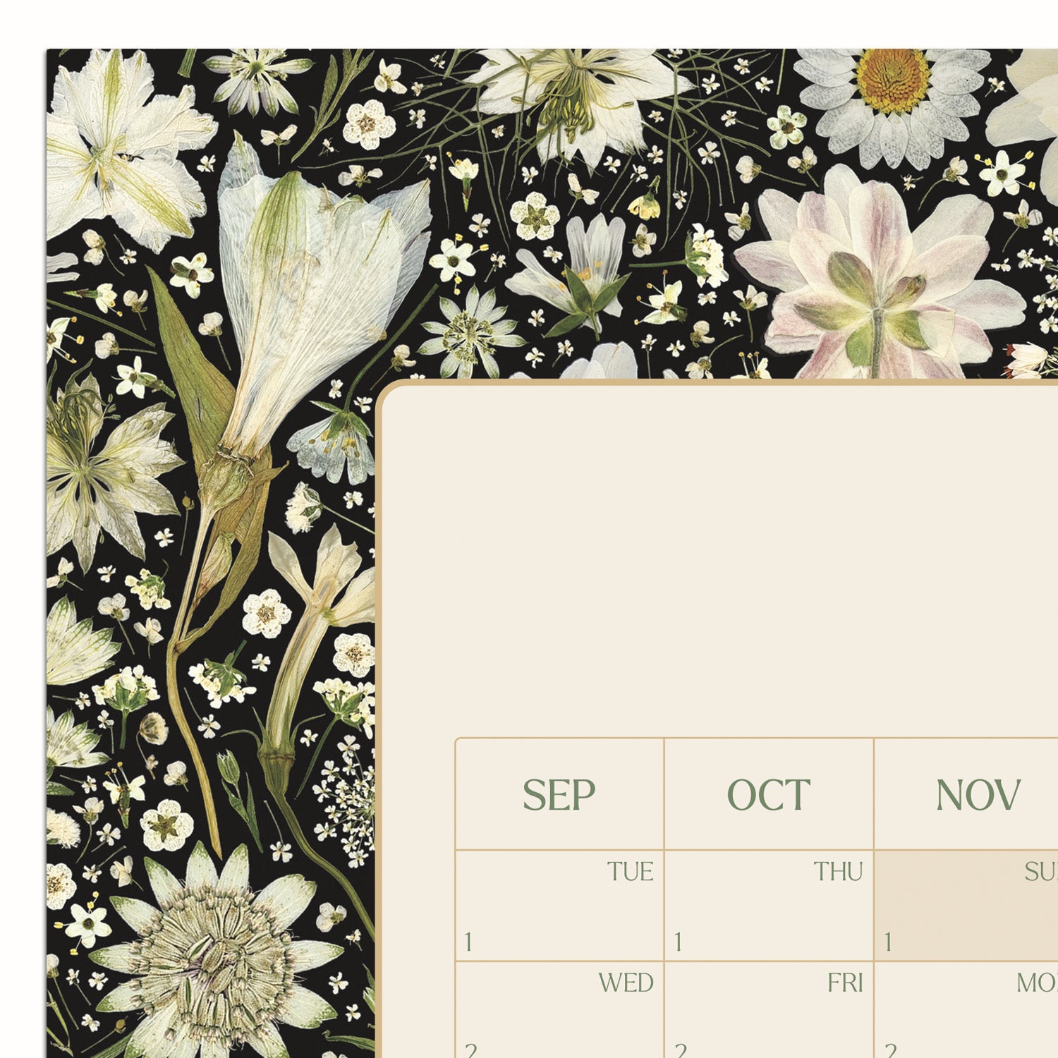 A close-up of a floral academic wall planner with a black background and cream botanical print.
