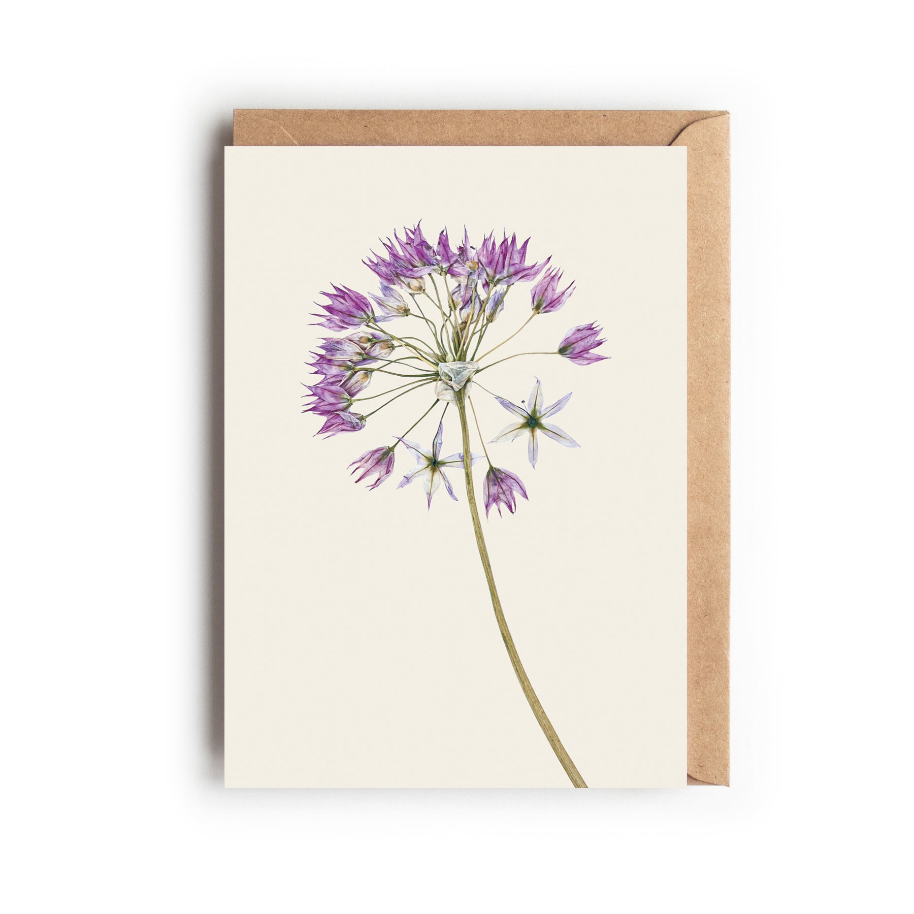 Greeting card with pressed Allium flower design on an off-white background