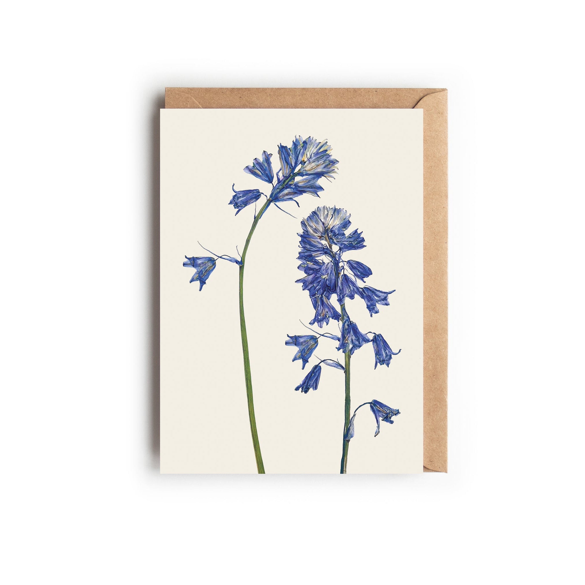 A botanical greetings card featuring pressed bluebells with a brown kraft envelope. Designed and made in the UK.