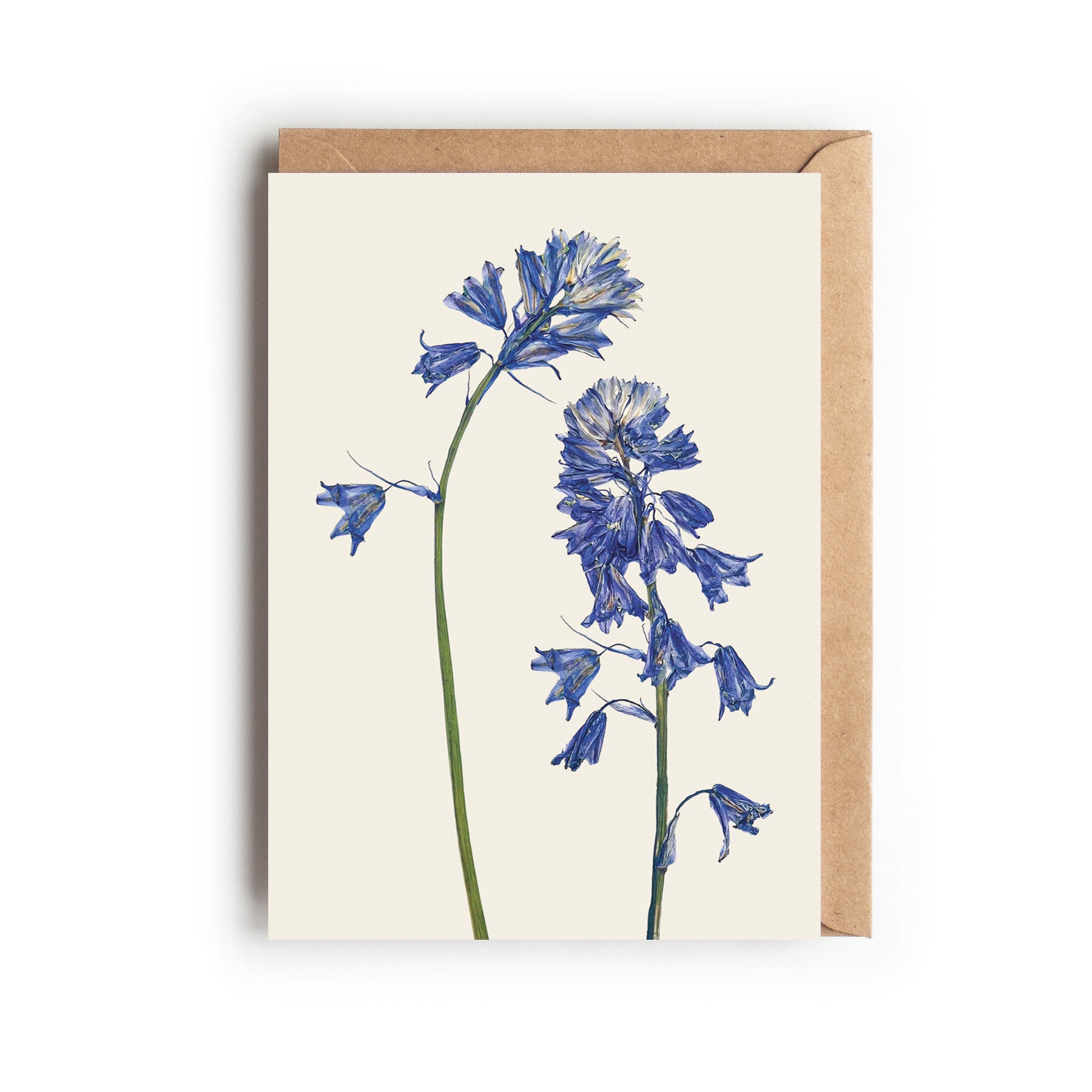 A botanical greetings card featuring pressed bluebells with a brown kraft envelope. Designed and made in the UK.