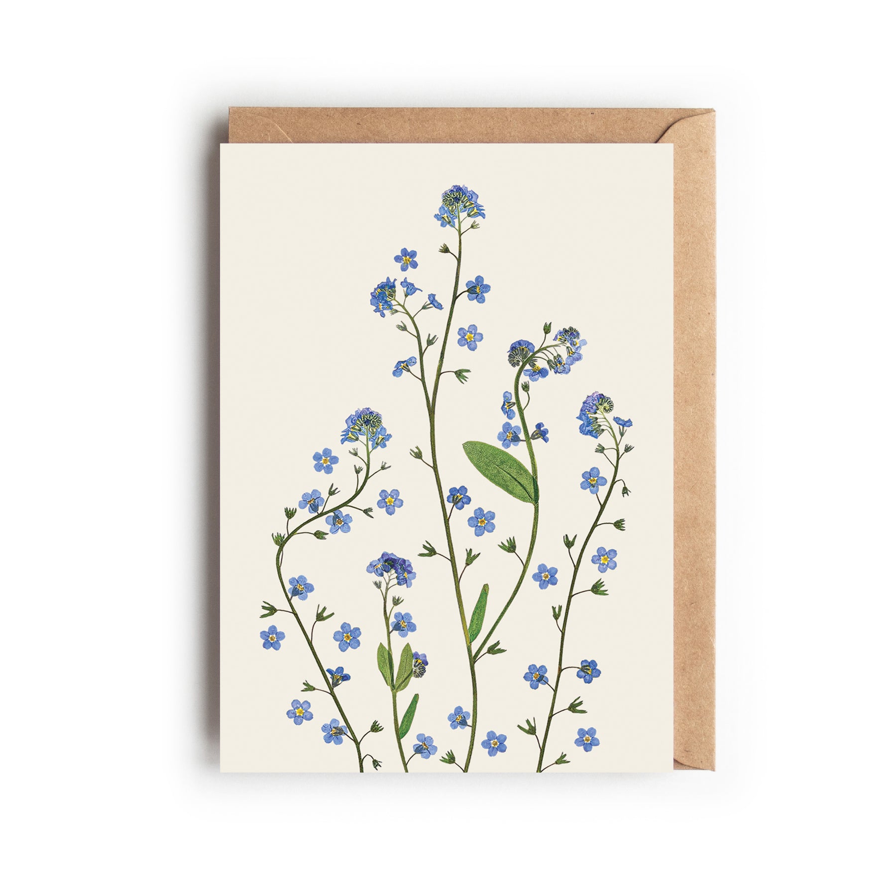 Greetings card with a pressed forget-me-not stem design, on an off- white background. Designed and made in the UK.