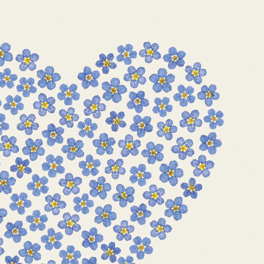 Close up of a greetings card with a heart made of pressed blue forget-me-not flowers on an off-white background.