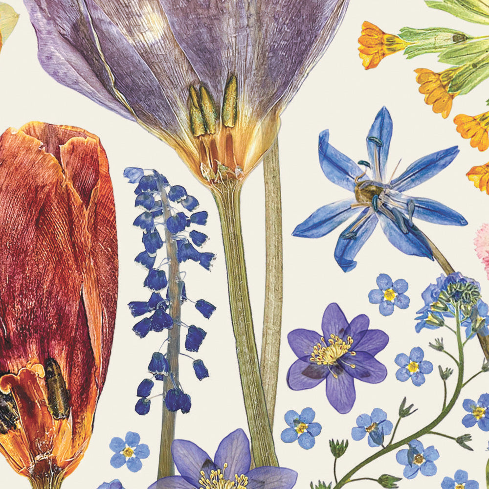 Close up of a greetings card with a colourful floral design created from pressed spring flowers on an off- white background.
