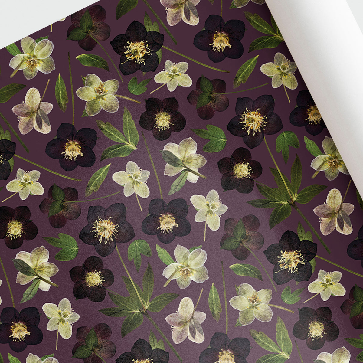 A close-up of a patterned sheet or wrapping paper with a repeating botanical design of dark and light Hellebore Flowers and green leaves on a muted purple background, shown with a curled white edge.