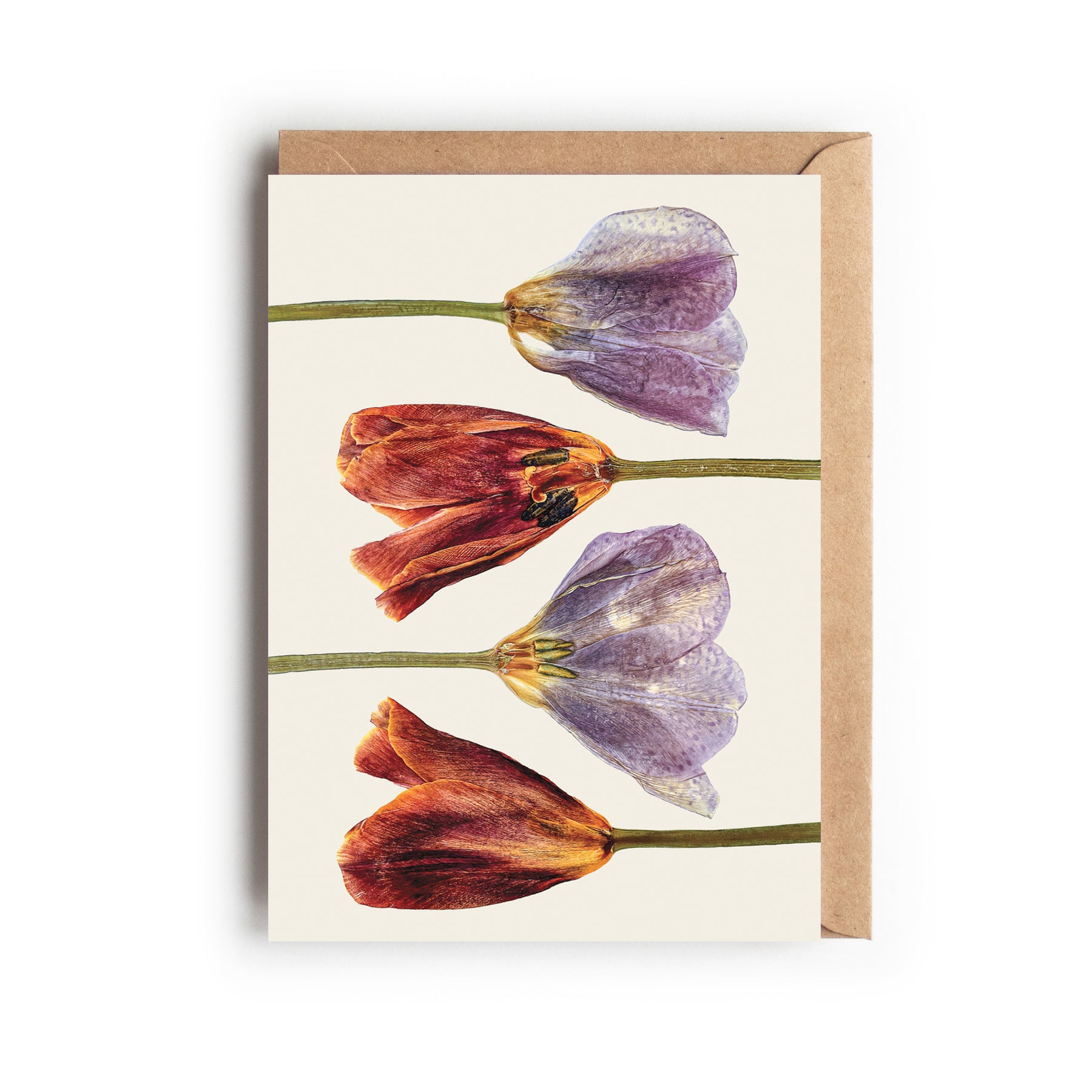 Greetings card with a pressed tulip design in red and pink, on an off-white background. Designed and made in the UK.